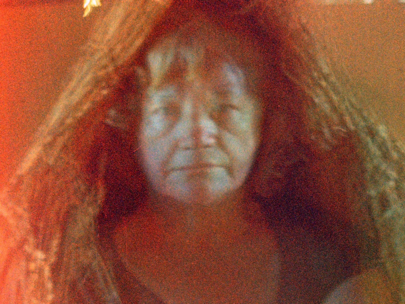 Image module