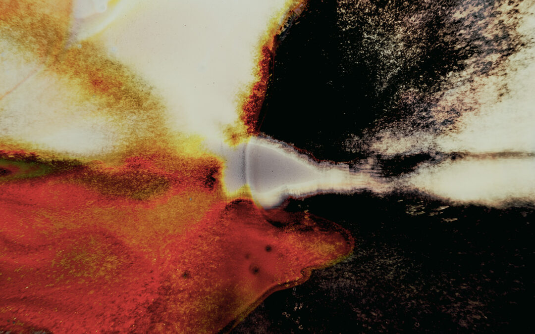 CAMERA OBSCURA: ALEXANDRE LAROSE