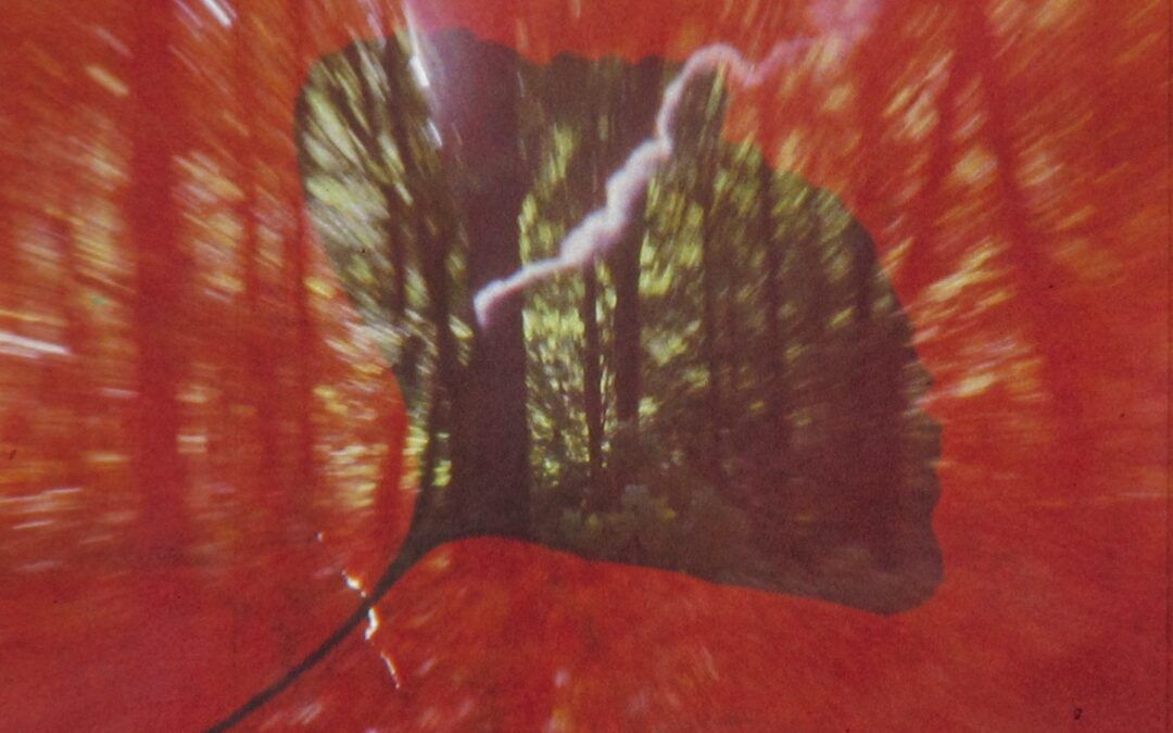CAMERA OBSCURA: PABLO MARÍN