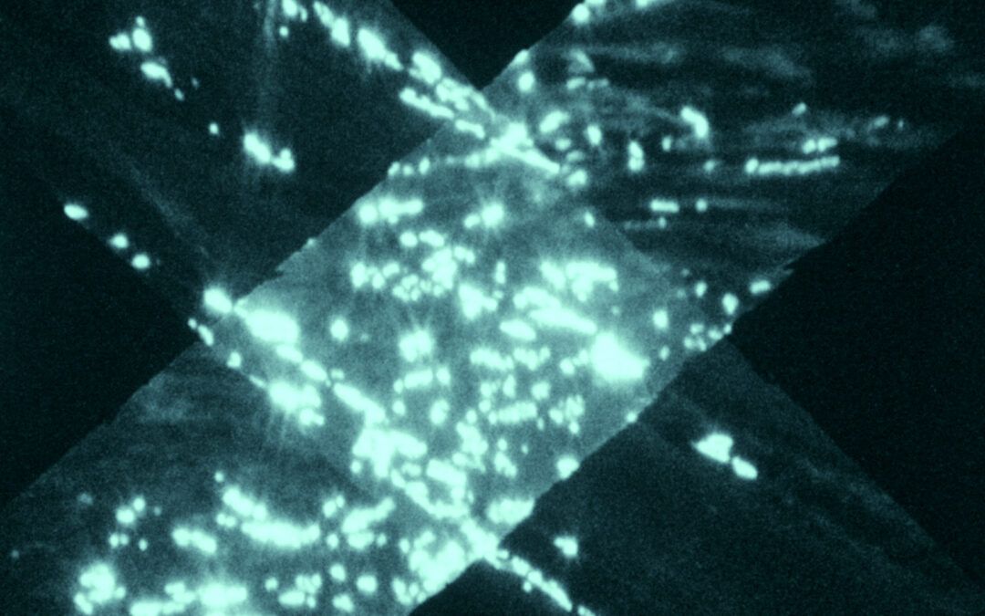 THE MECHANICS OF LIGHT