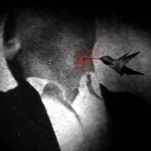 Captura de pantalla 2025-05-14 a las 12.53.00