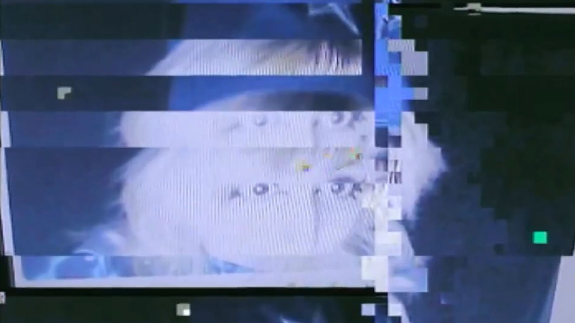FLESH WEBM