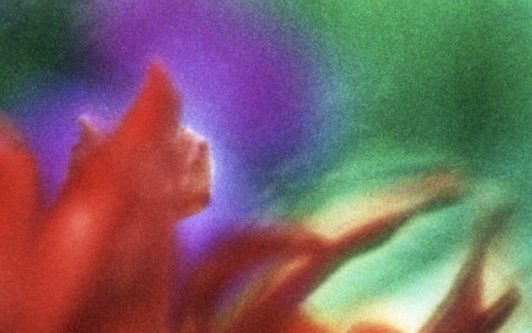 BETZY BROMBERG. O MICRO E O MACRO (3)