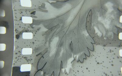 ANALOGUE FILM WORKSHOP IN CORME